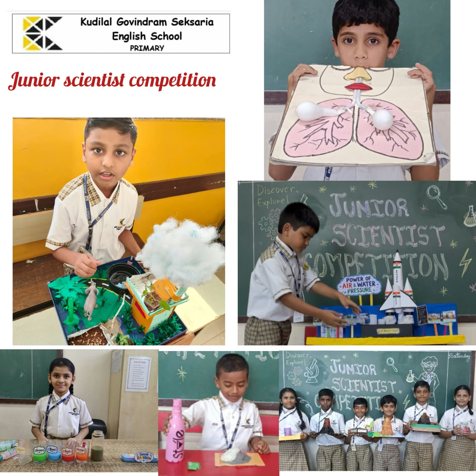 Junior Scientist Competition - Primary Section